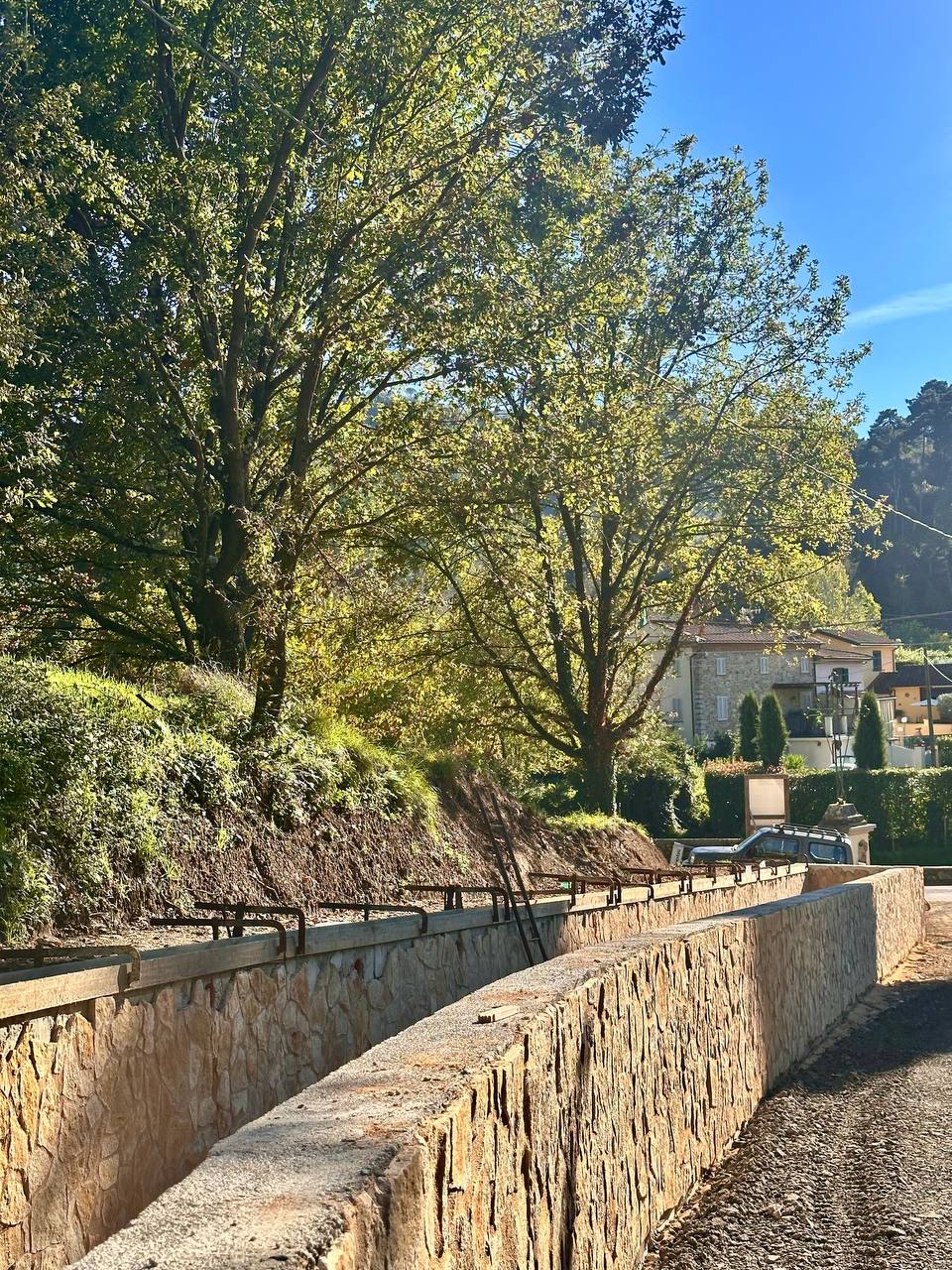 descrizione immagine