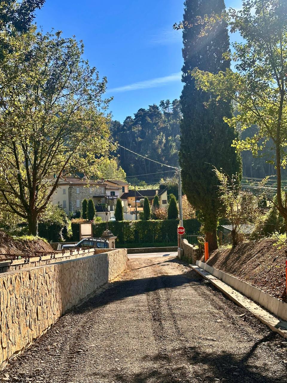 descrizione immagine