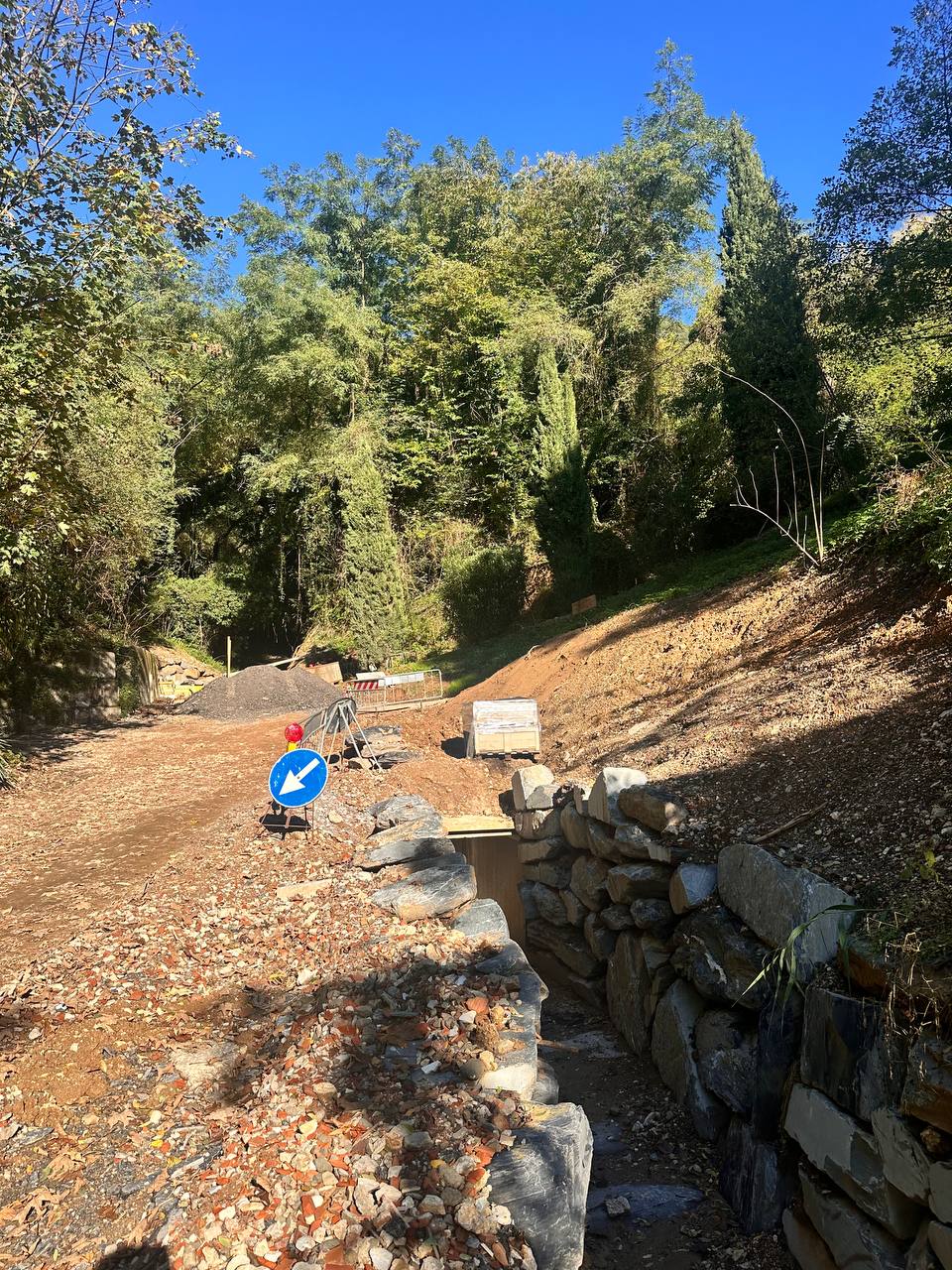 descrizione immagine