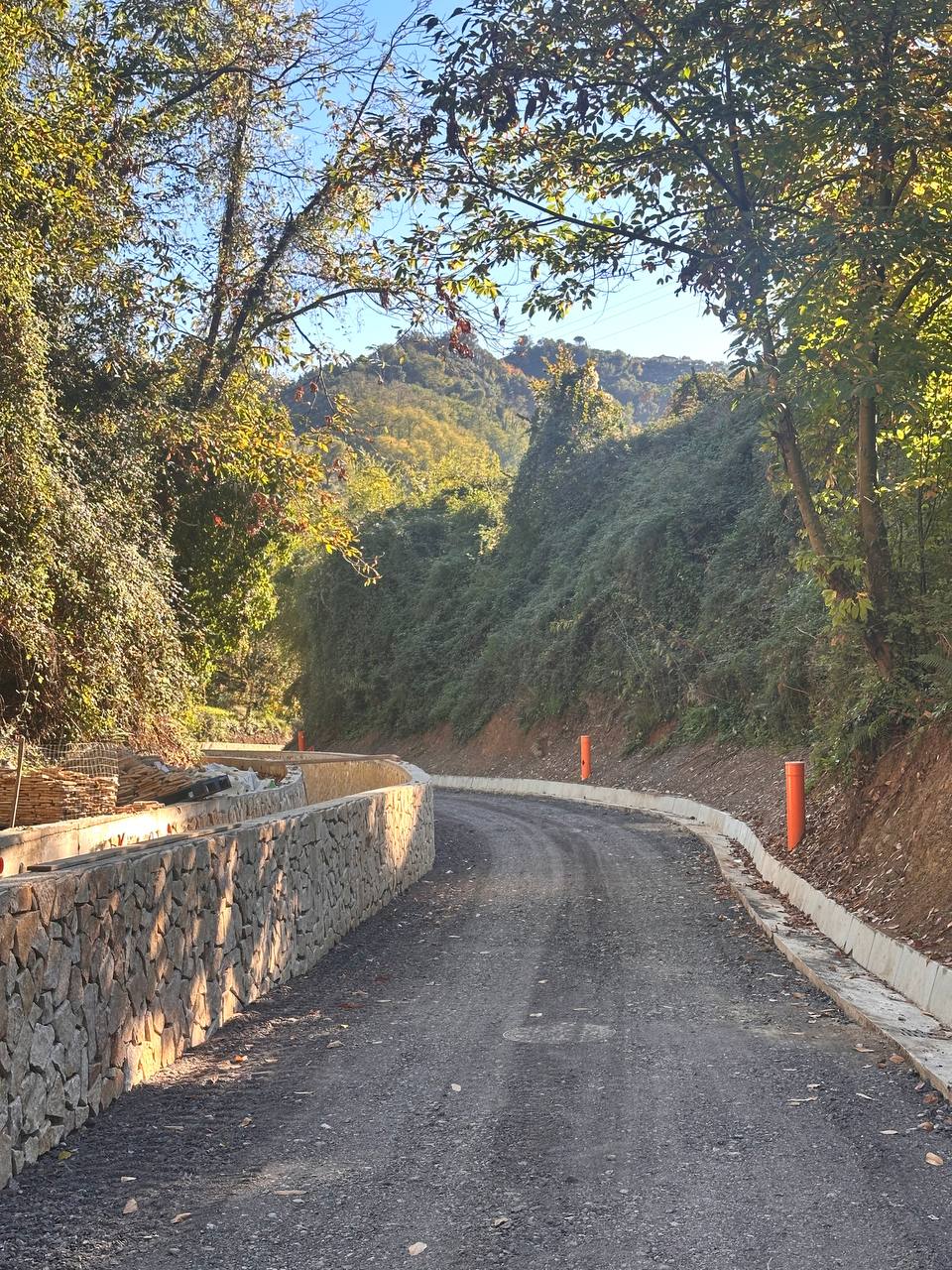 descrizione immagine