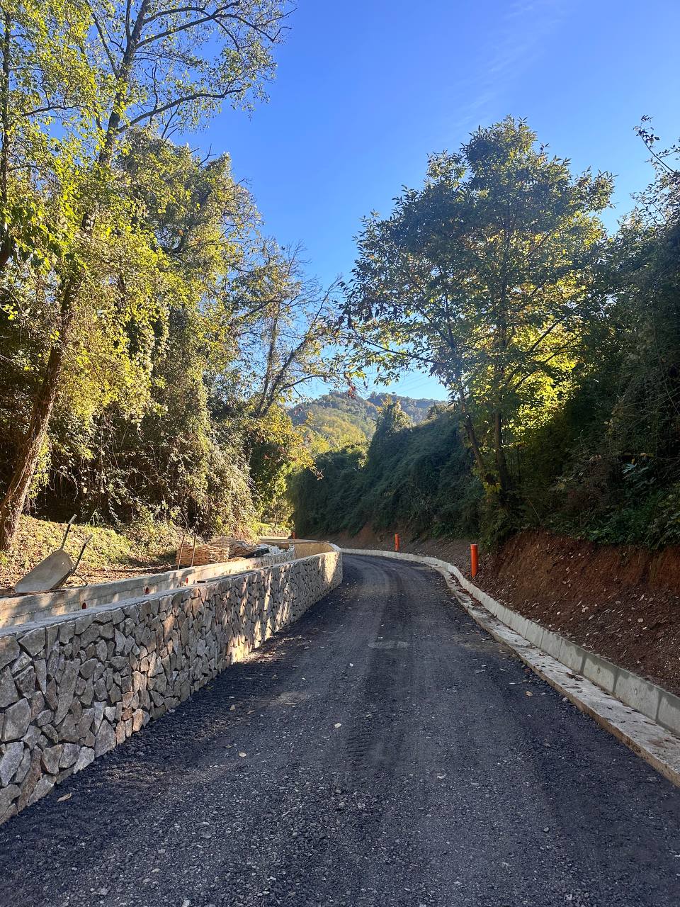 descrizione immagine