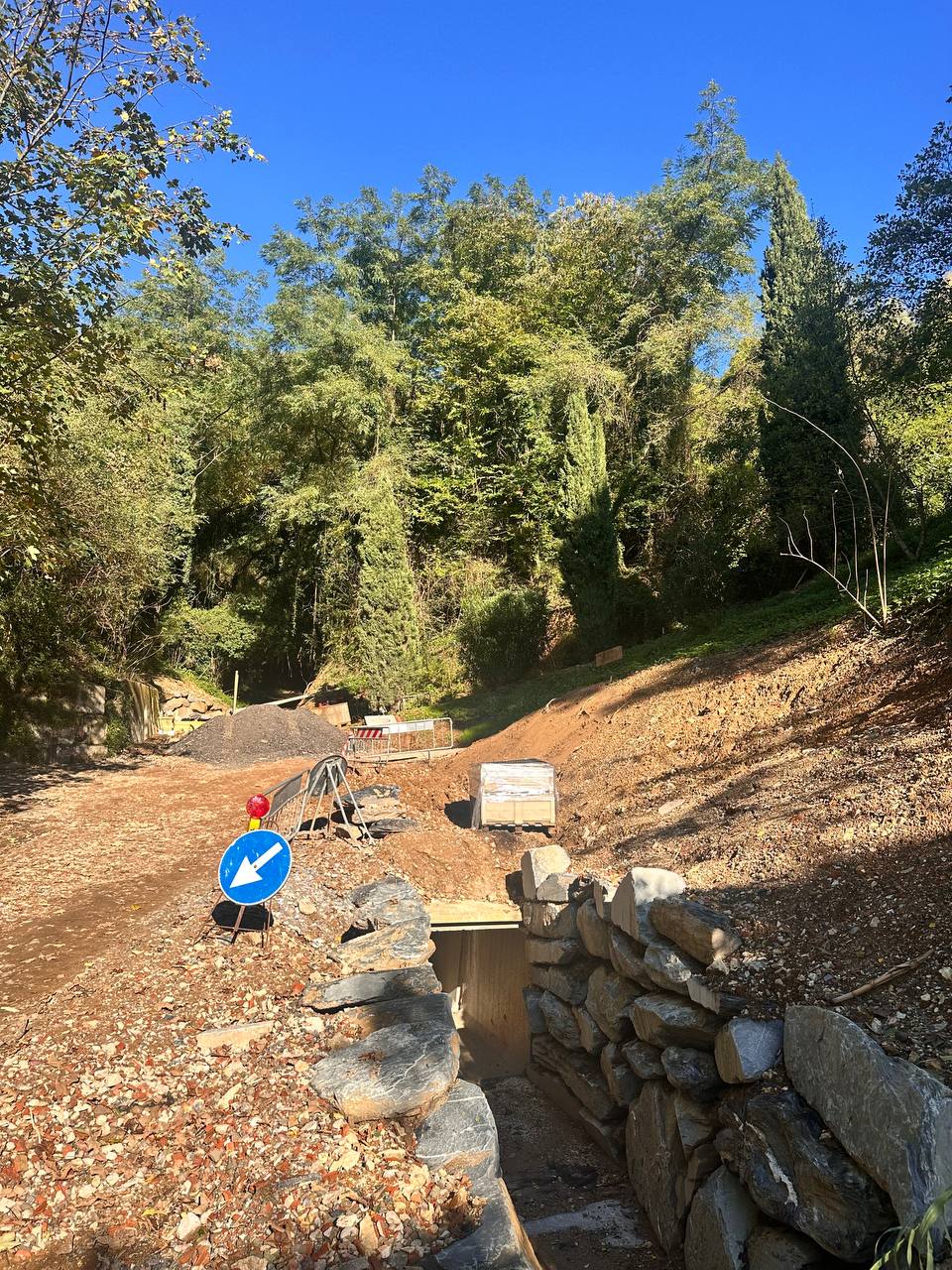 descrizione immagine