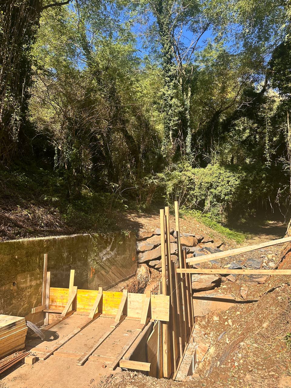 descrizione immagine