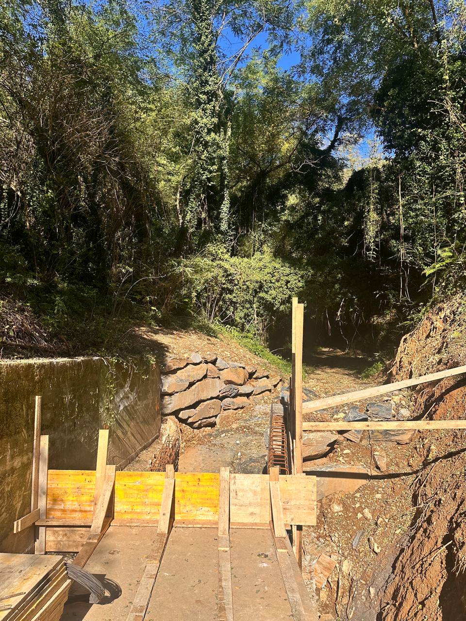 descrizione immagine