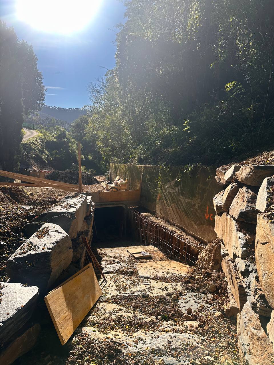 descrizione immagine