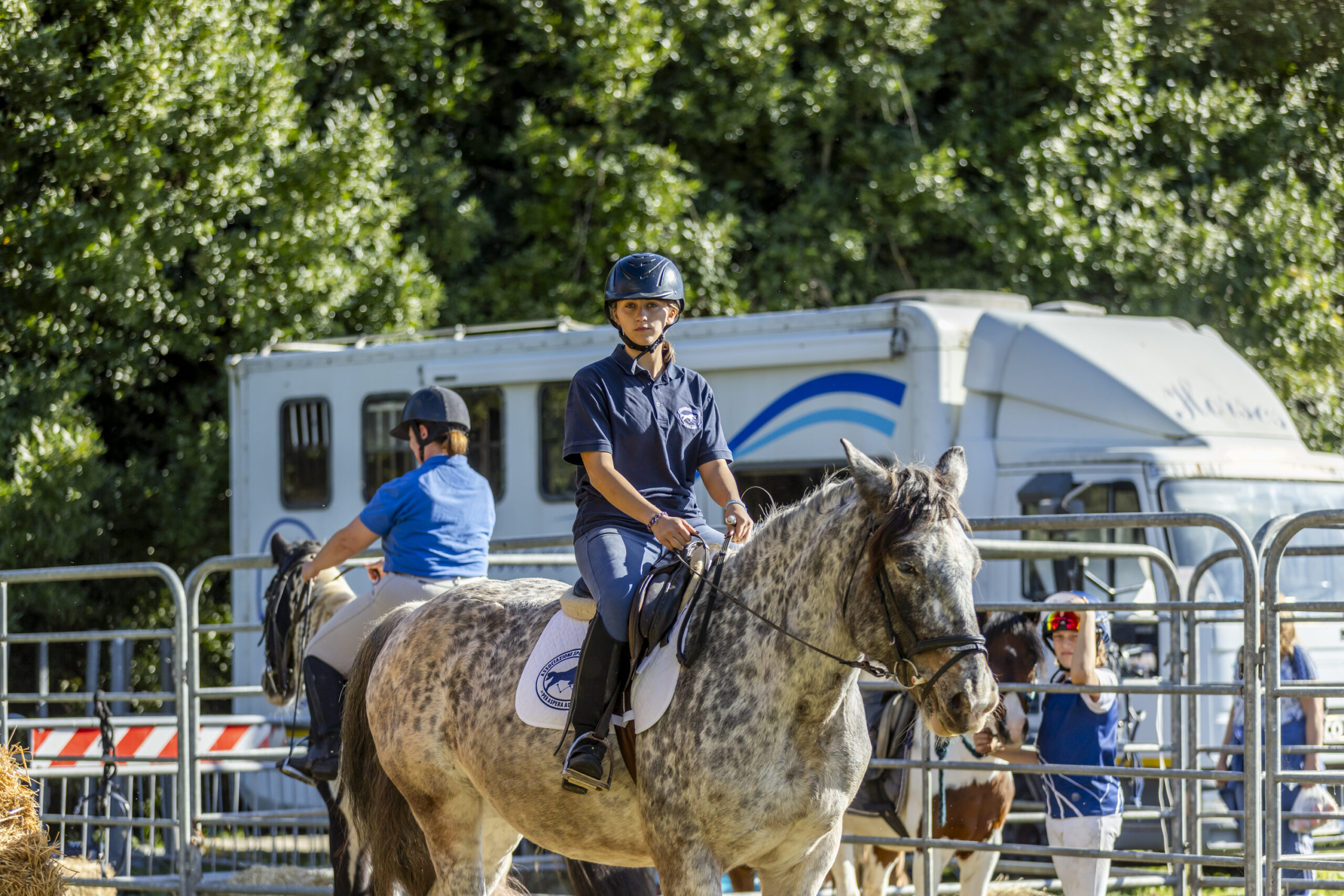 descrizione immagine