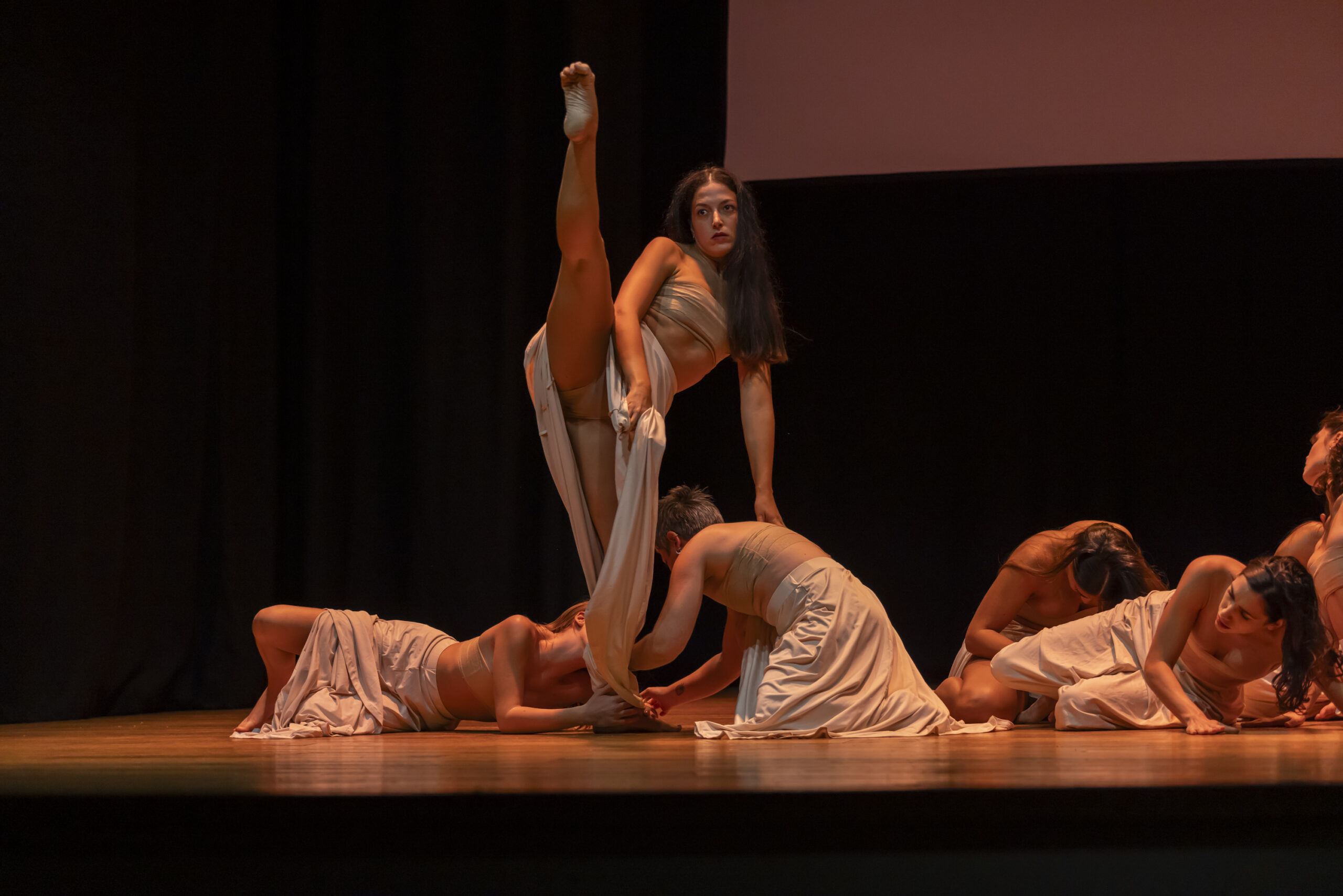 descrizione immagine