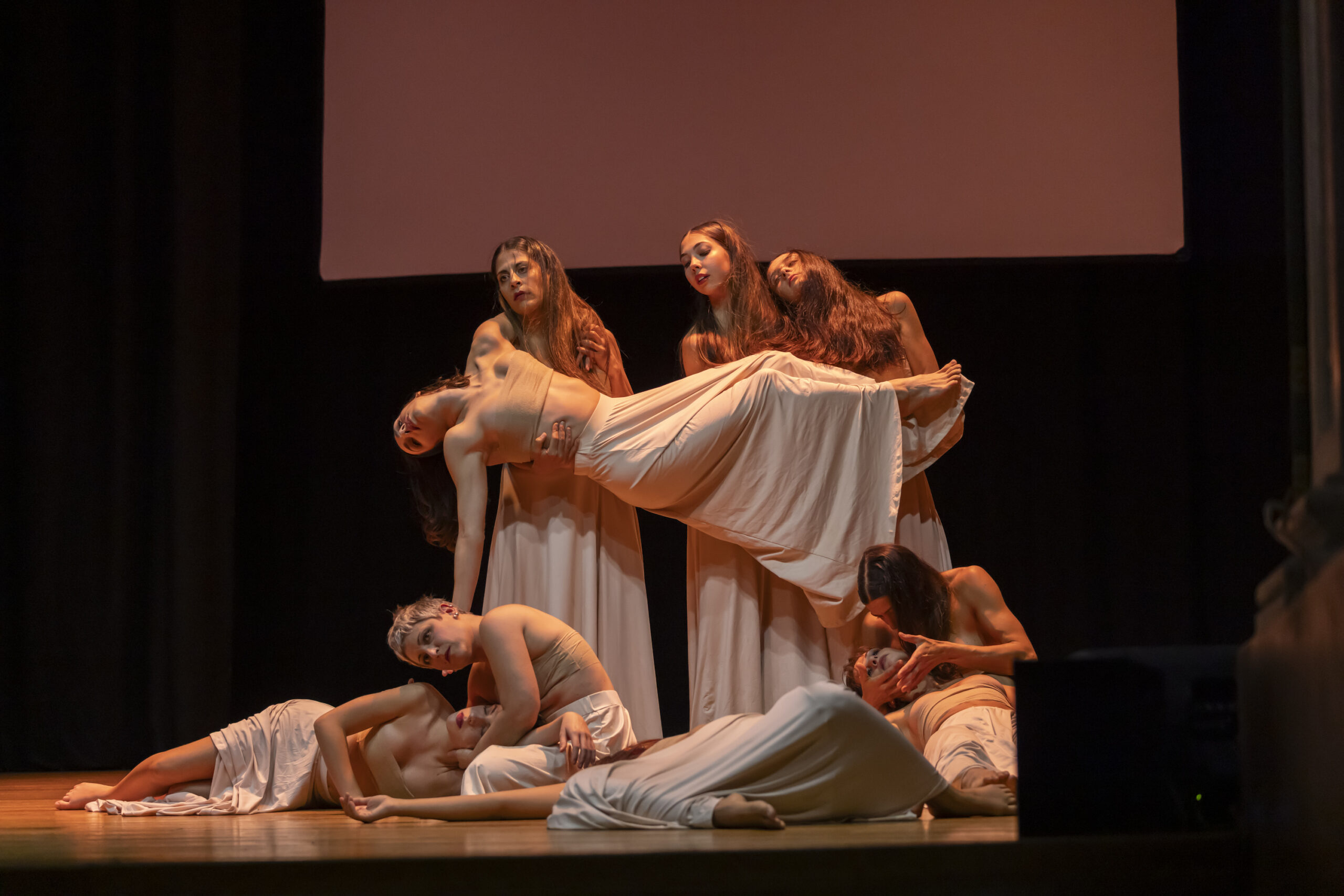 descrizione immagine