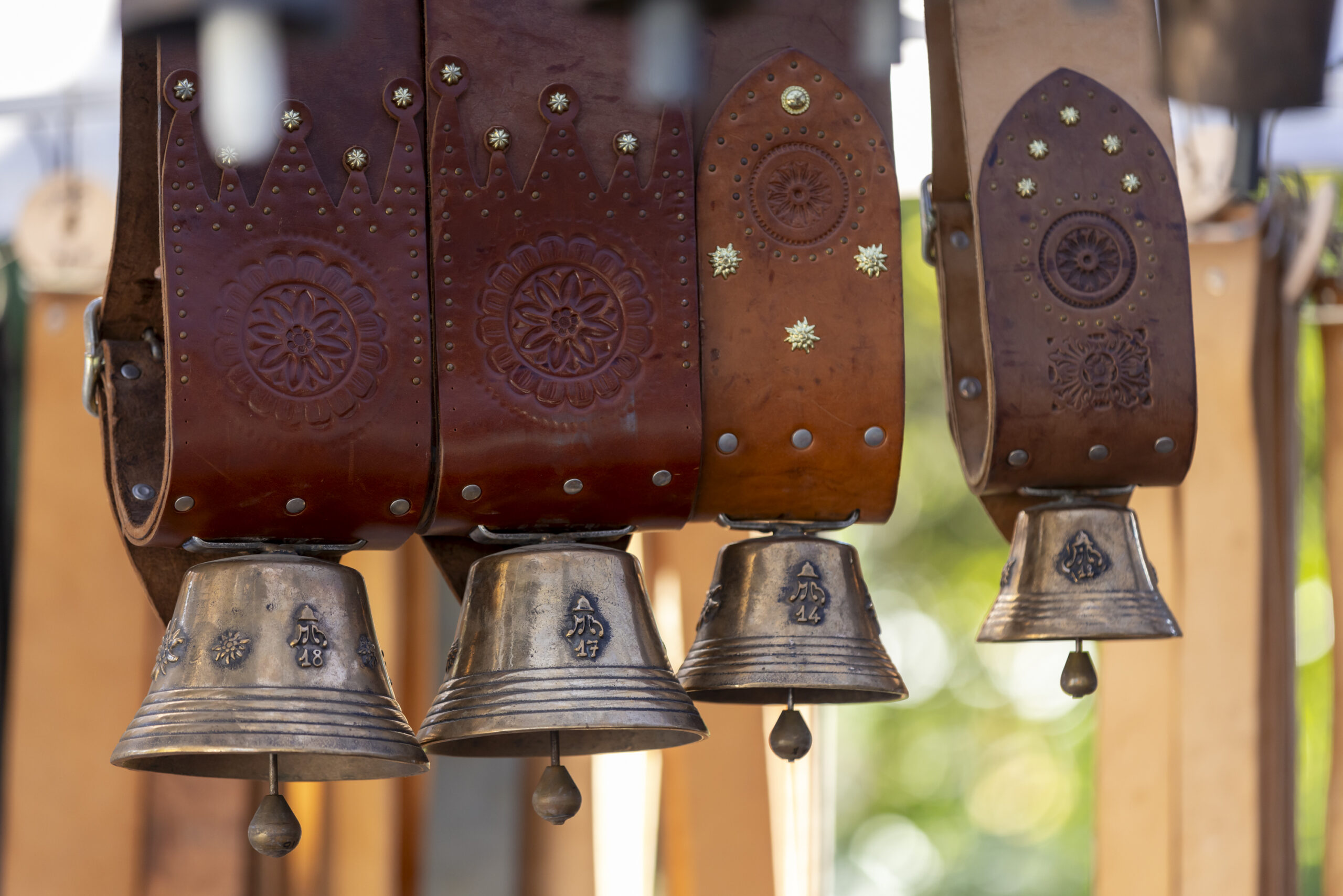 descrizione immagine