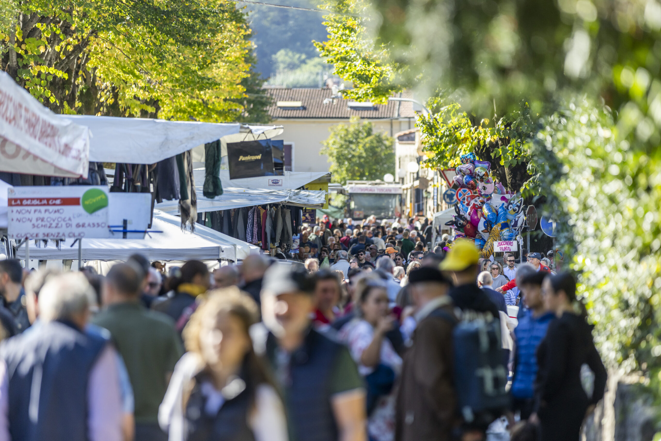 descrizione immagine