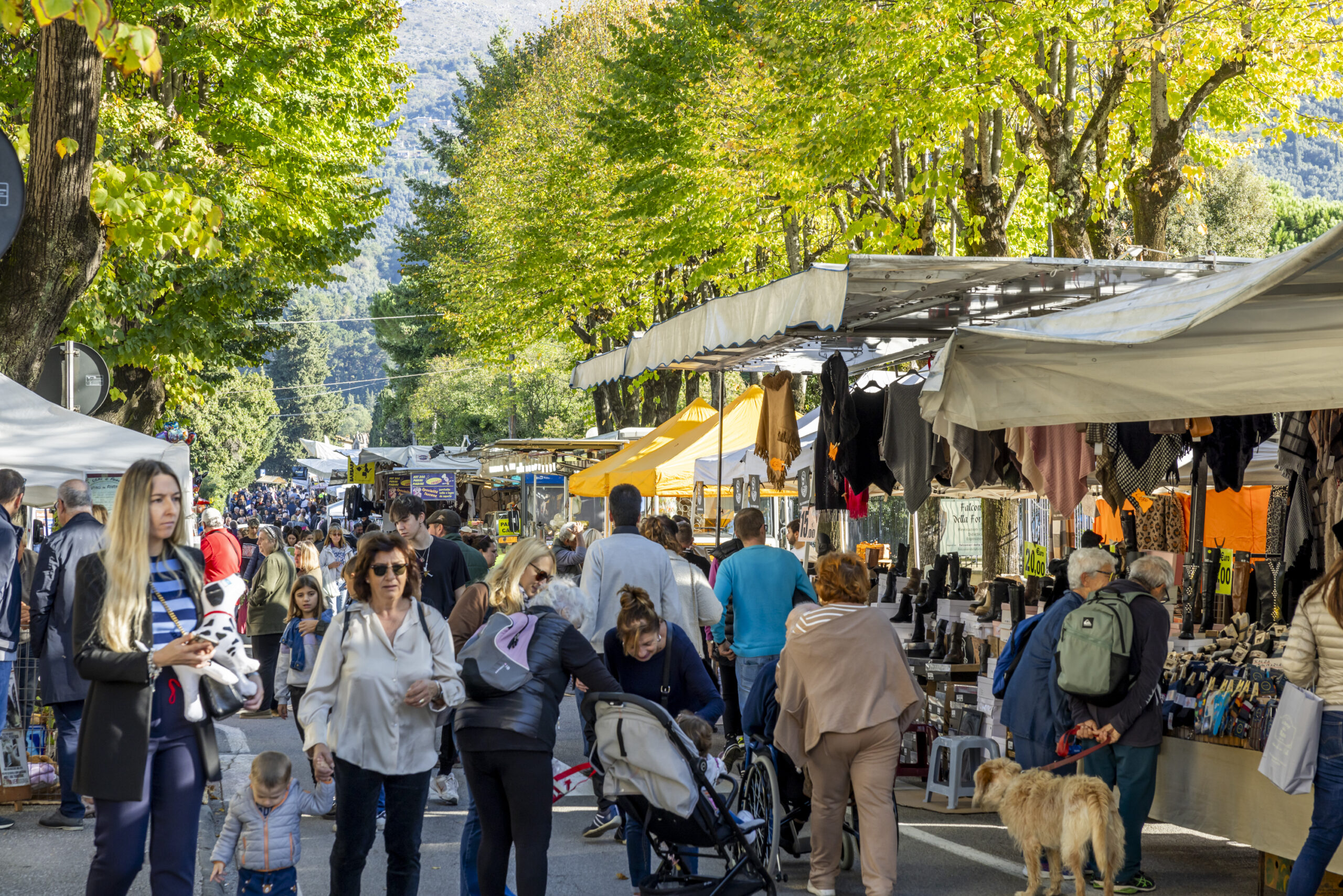 descrizione immagine