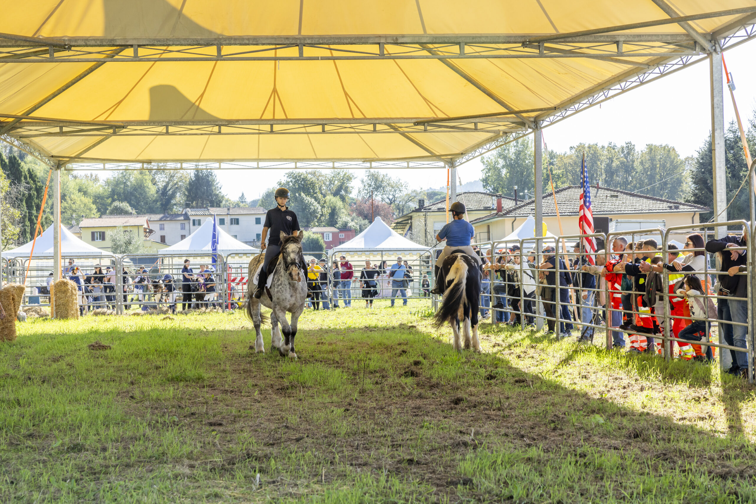 descrizione immagine