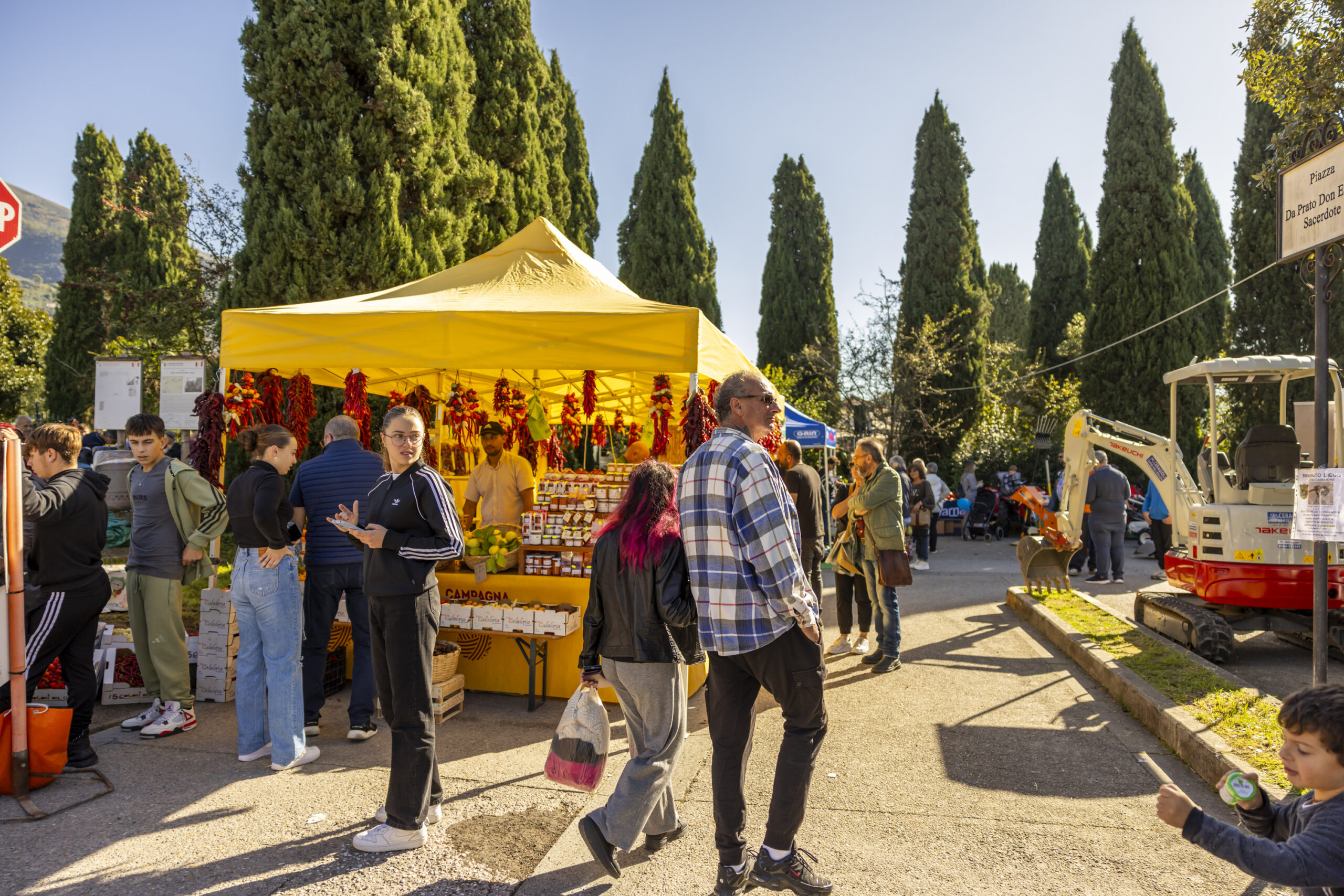 descrizione immagine