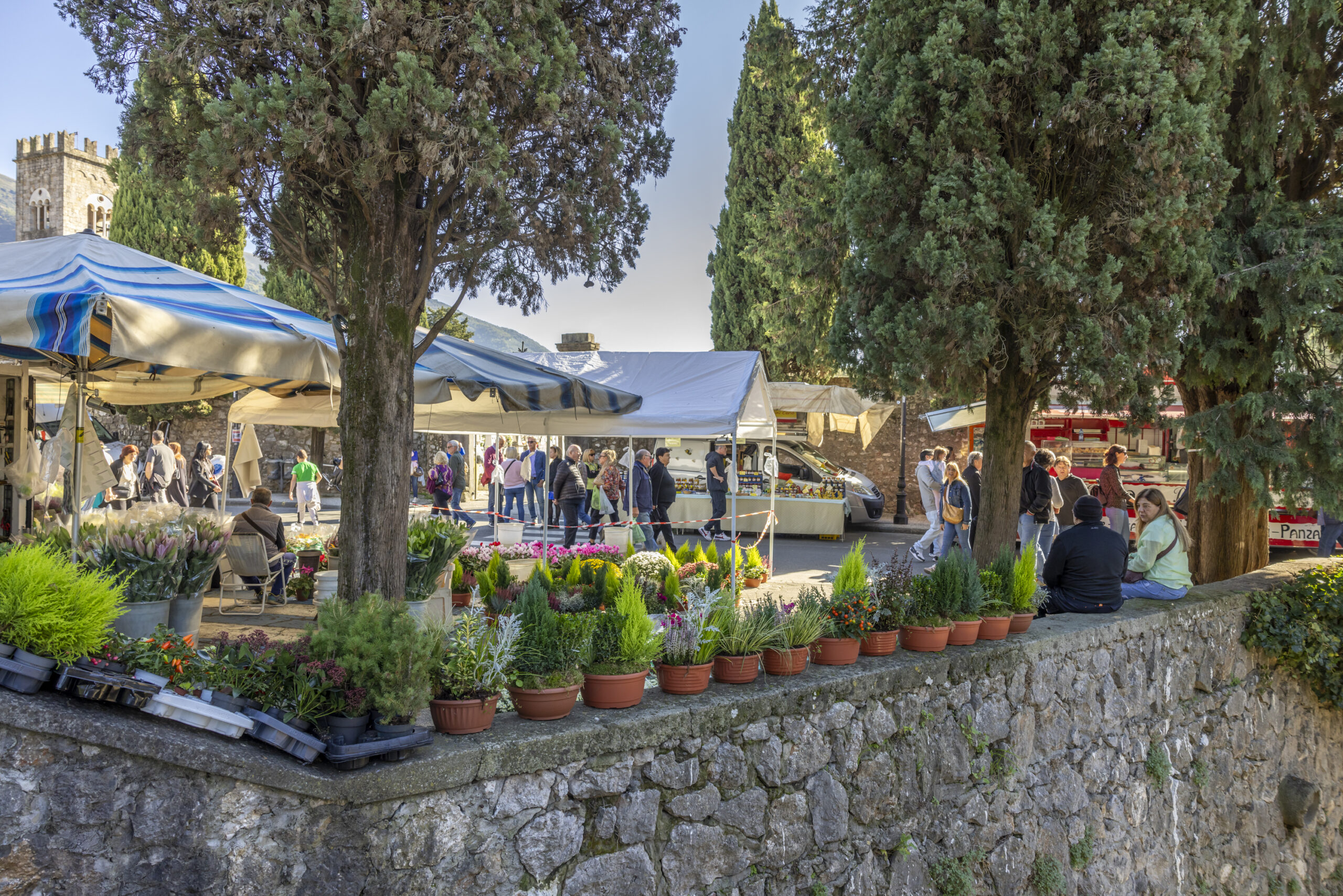 descrizione immagine