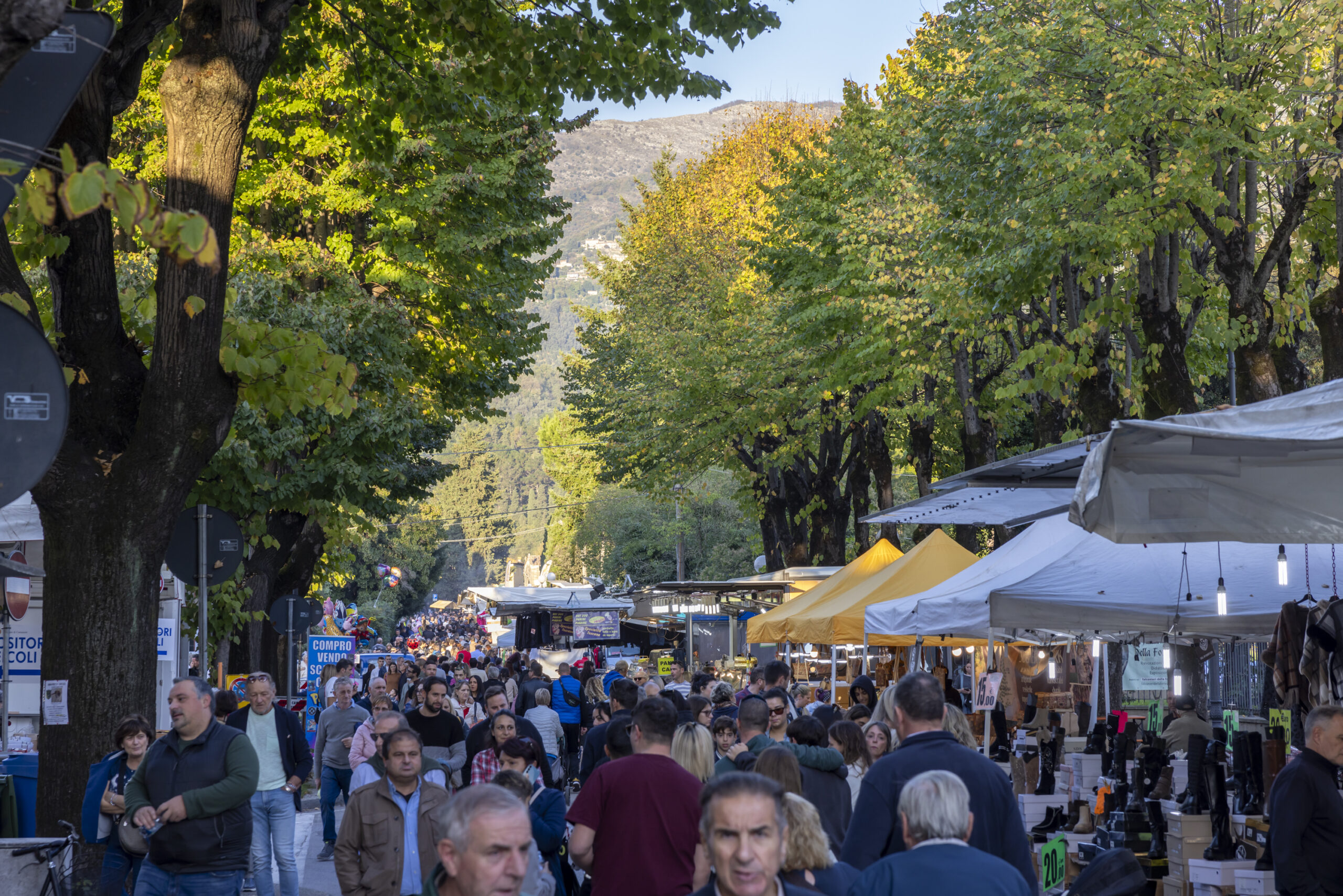 descrizione immagine