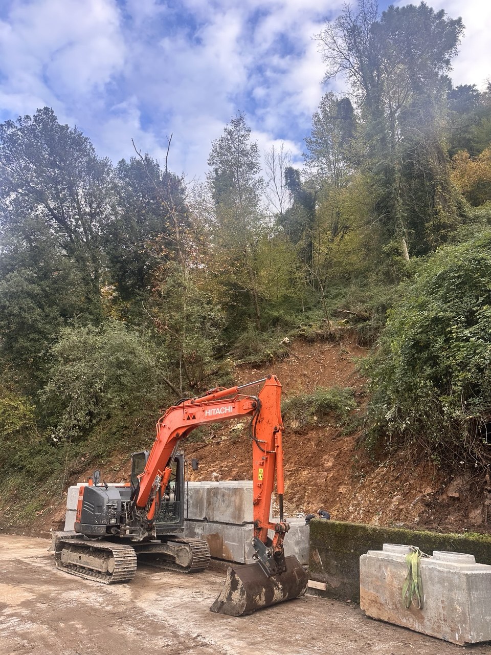 descrizione immagine