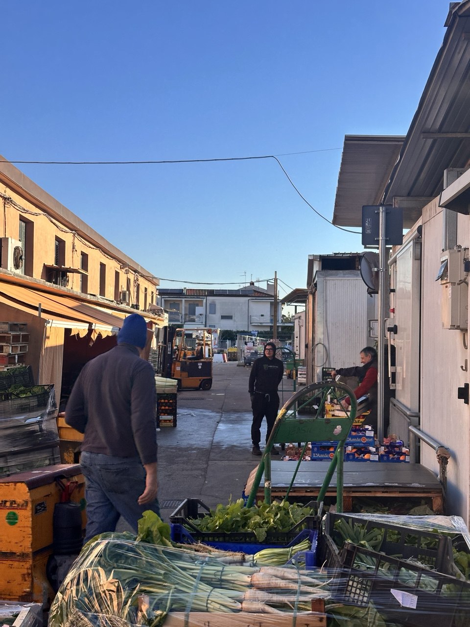 descrizione immagine