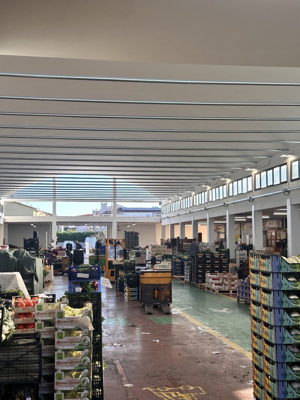 descrizione immagine