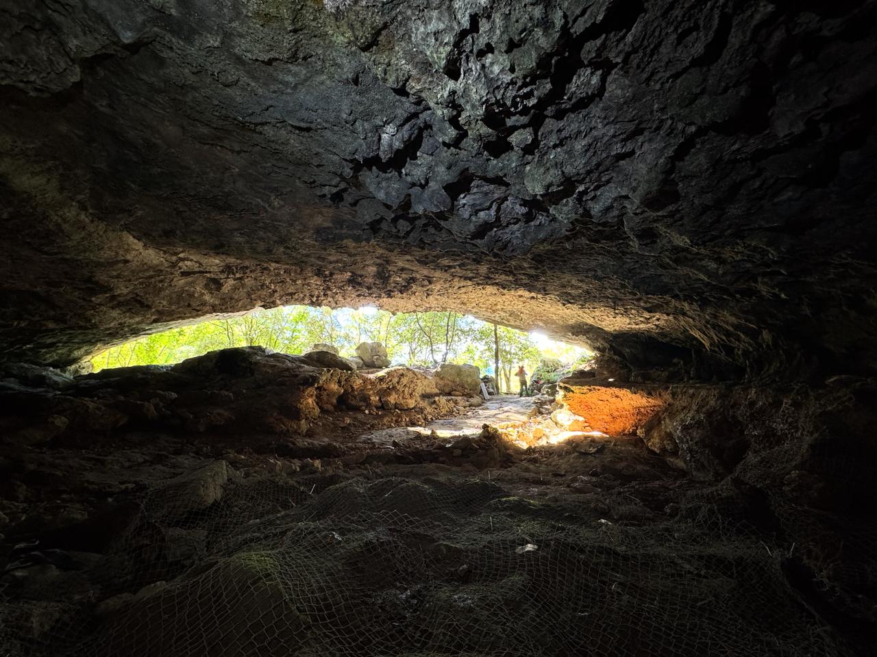 descrizione immagine