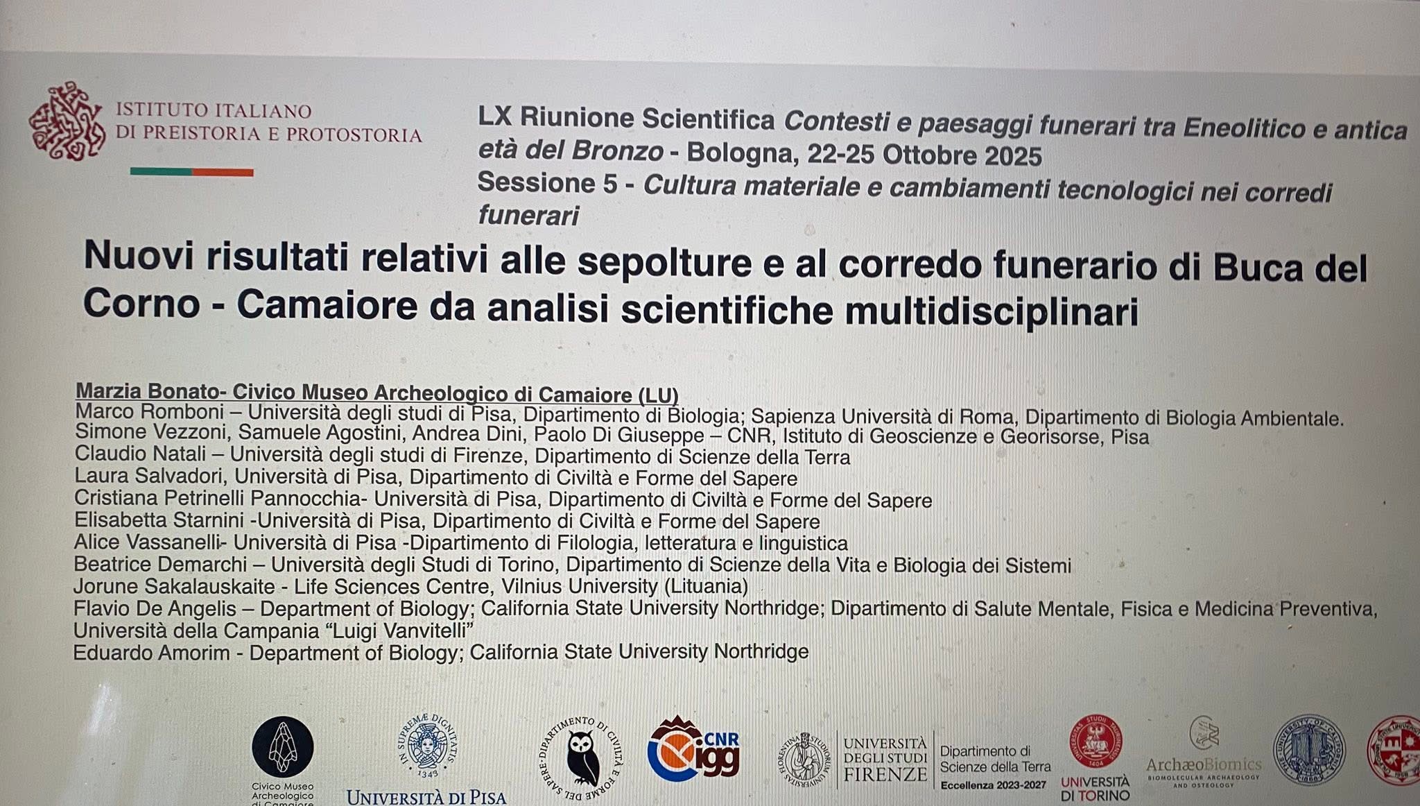 descrizione immagine