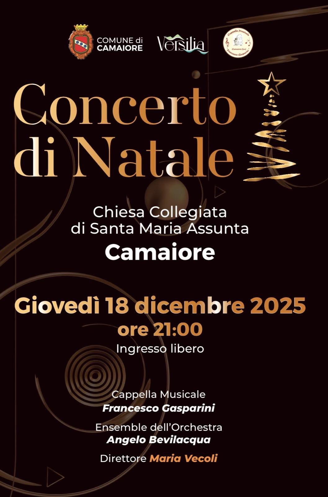 descrizione immagine