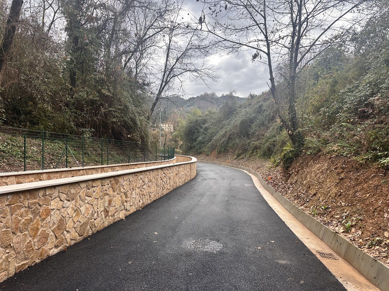 descrizione immagine