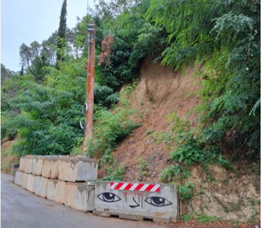 descrizione immagine