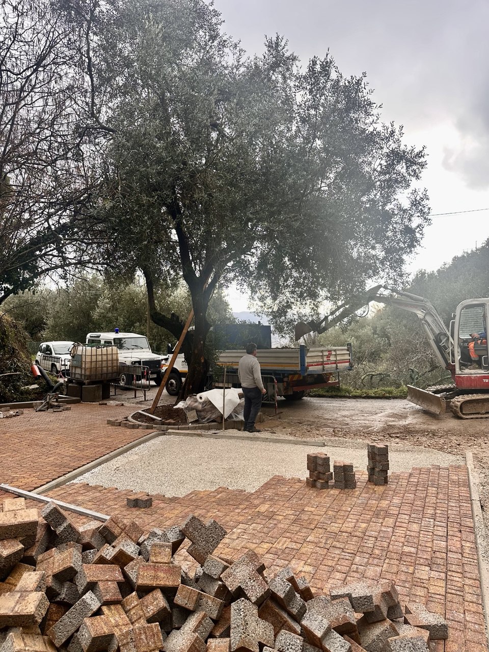 descrizione immagine