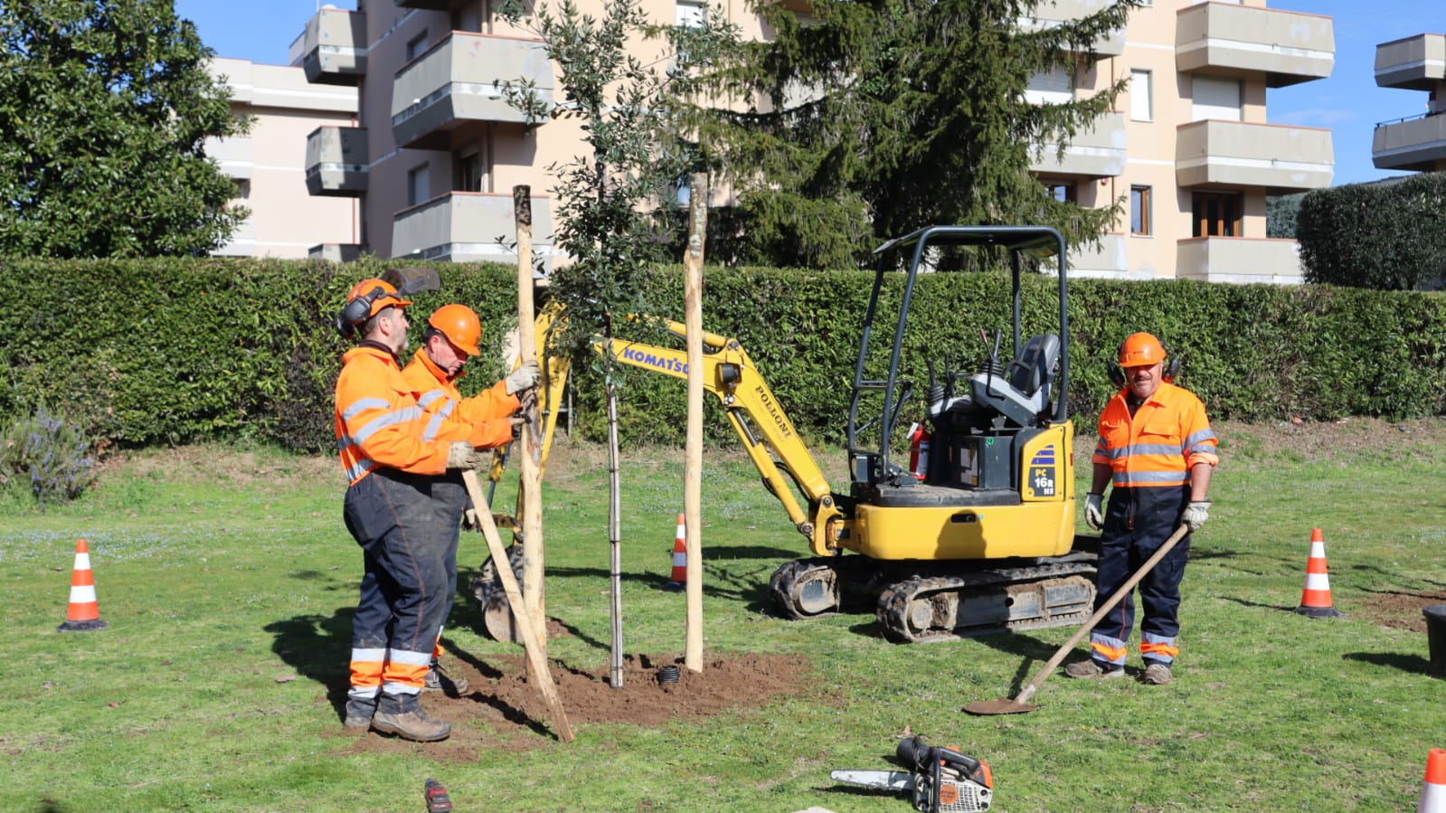 descrizione immagine