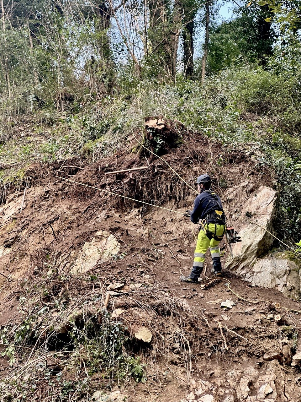 descrizione immagine