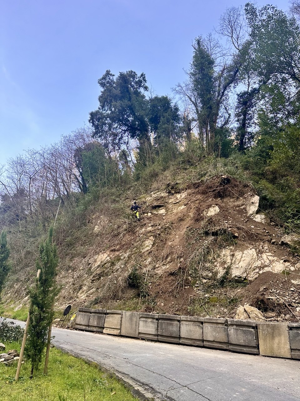 descrizione immagine