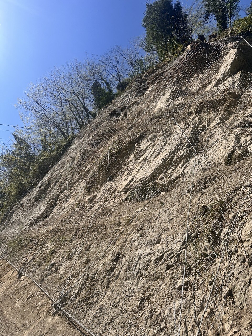 descrizione immagine