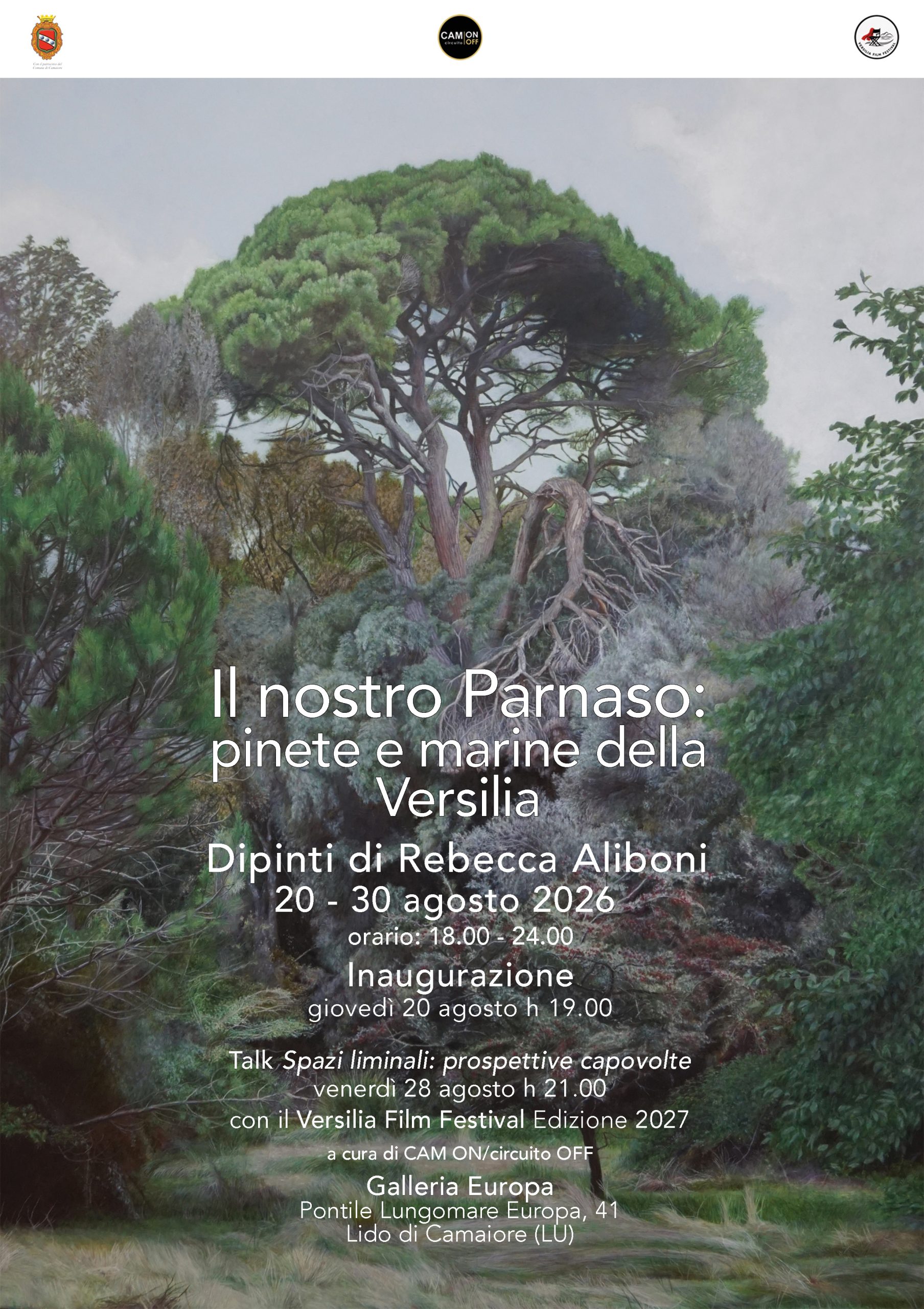 descrizione immagine