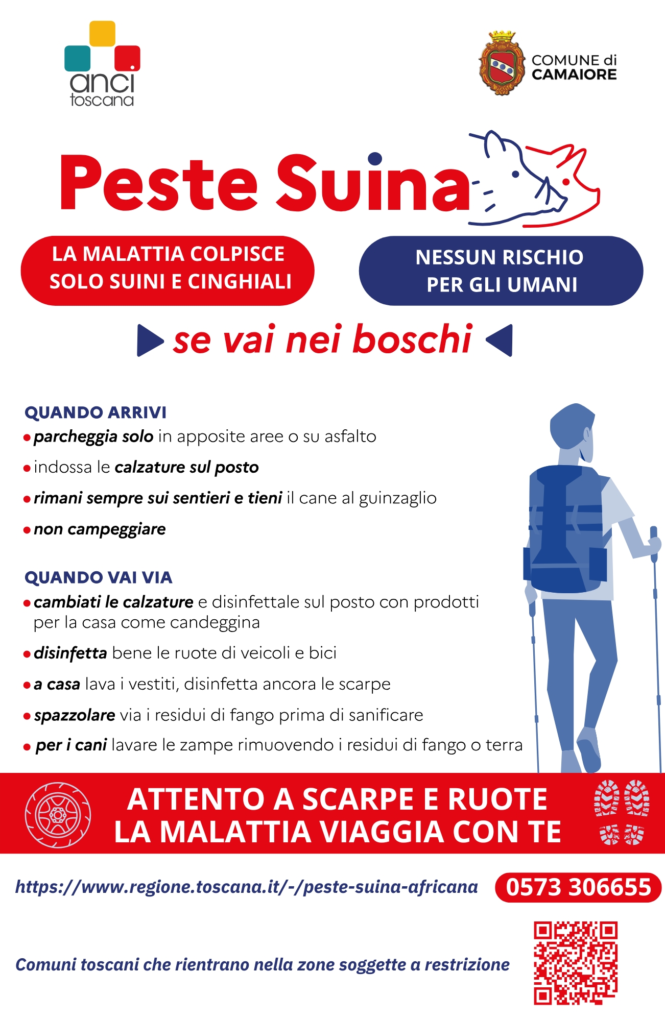 descrizione immagine